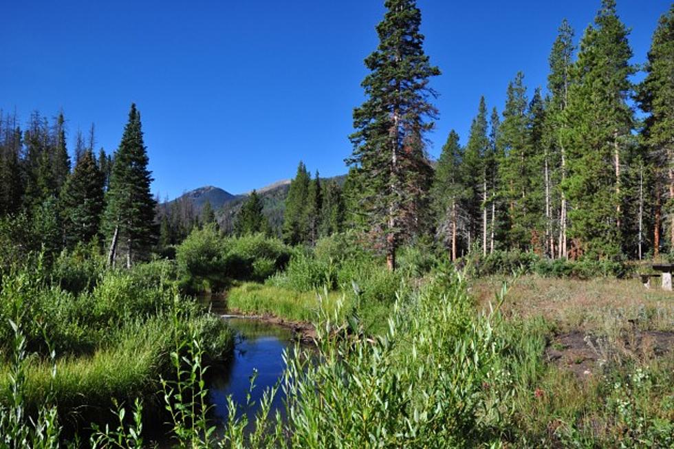 Camping and Hiking in Roosevelt National Forest [PICTURES]