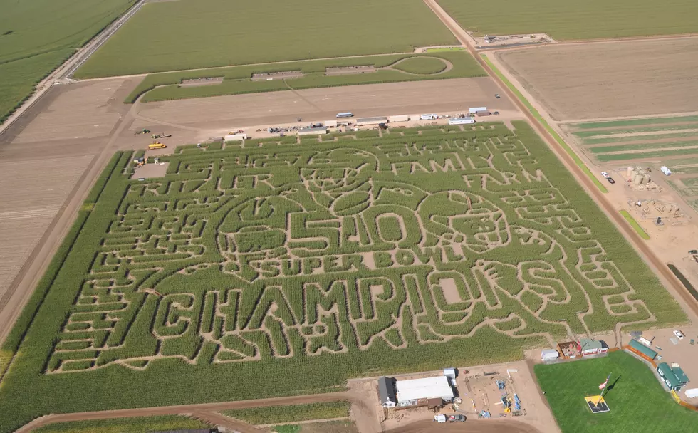 Fritzler’s Corn Maze South of Greeley Reveals 2016 Design [PICTURES]