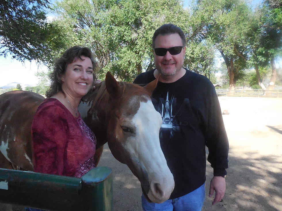 Hearts and Horses Loses Beloved Therapy Horse Unexpectedly