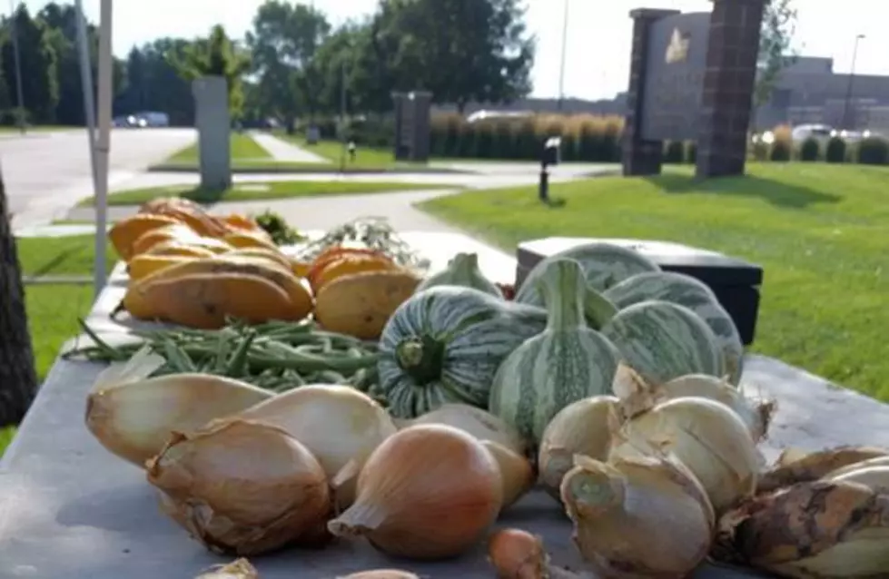 Larimer County Community Corrections Farmers Market is Back in 2017