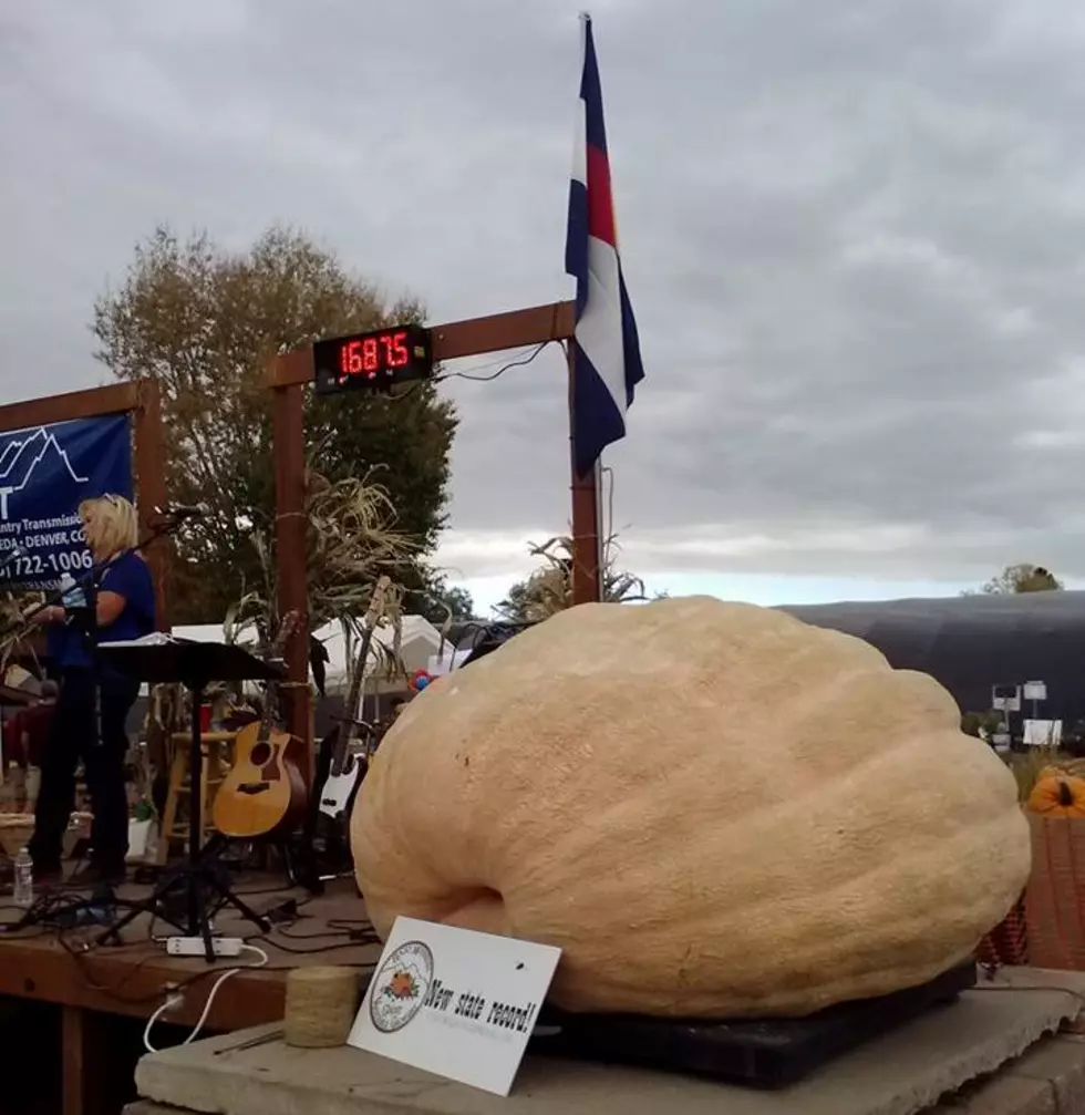 Colorado Has a New State Record for Largest Pumpkin