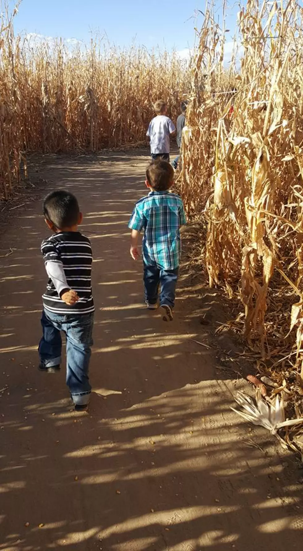 My Weekend &#8211; Rocky Mountain National Park, Fritzler Corn Maze and Grandkids [PICTURES]