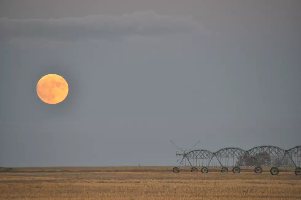 Colorado Agriculture Hall of Fame Seeking Nominations for 2019