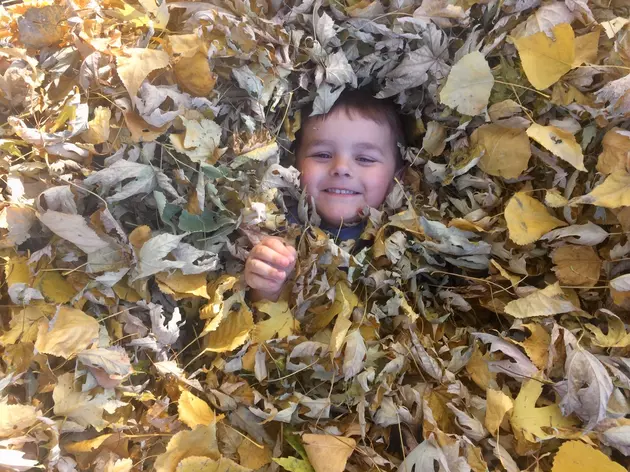 Getting Buried in Leaves Is One of the Pure Joys of Fall [PICTURES]