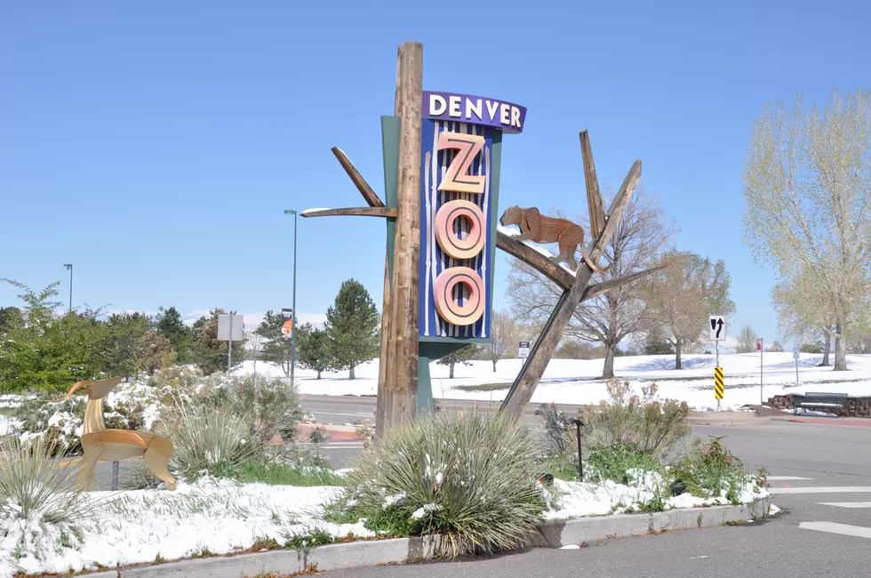 Colorado’s Denver Zoo Announces 2023 Free Days