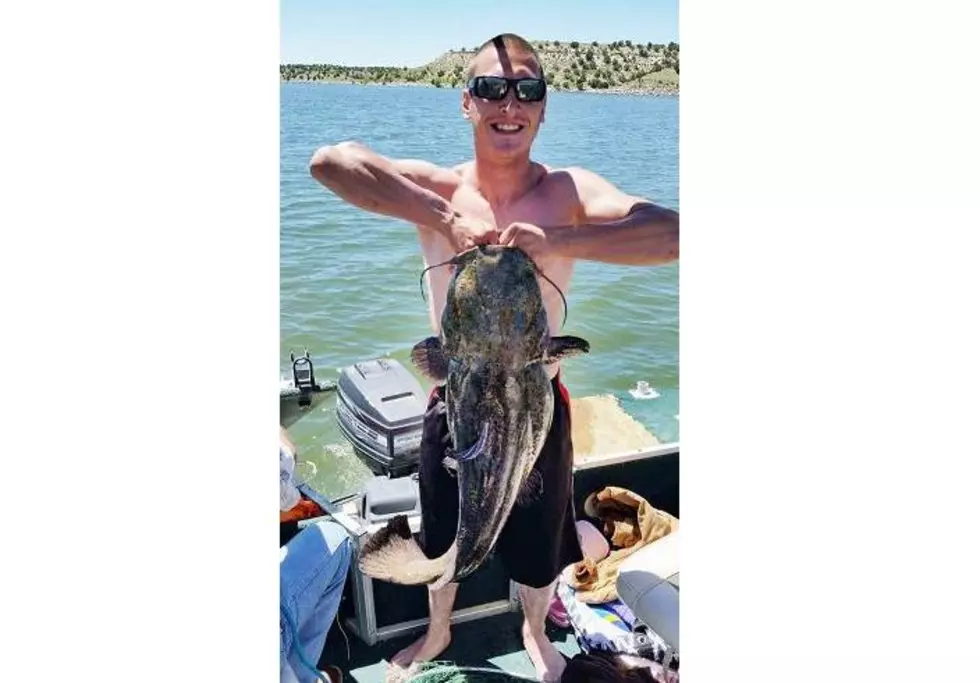 Colorado Man Catches State Record Catfish Over Father’s Day Weekend