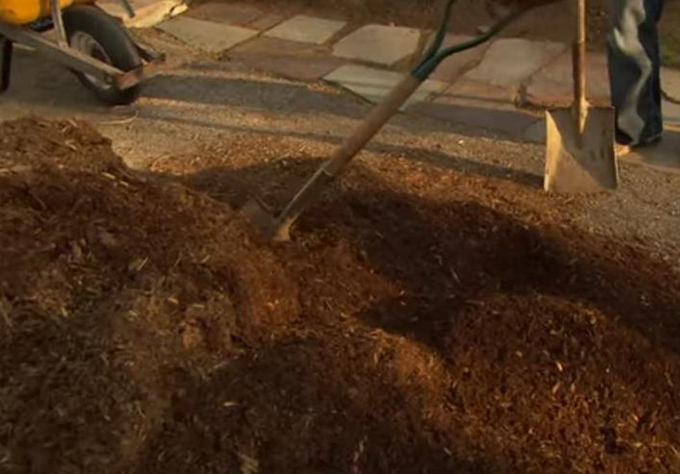 Free Wood Mulch Available to the Public in Fort Collins
