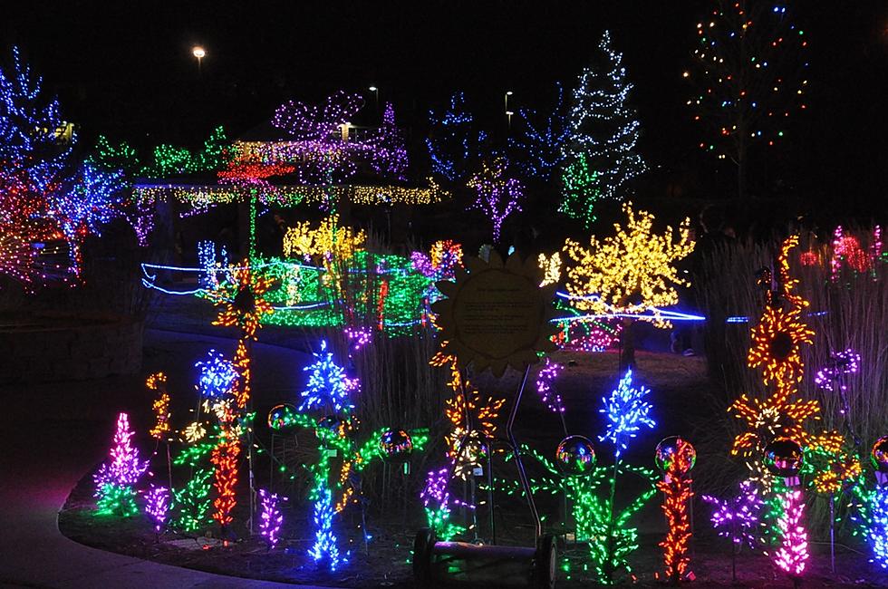 Fort Collins Spring Creek ‘Garden Of Lights’ To Open in December