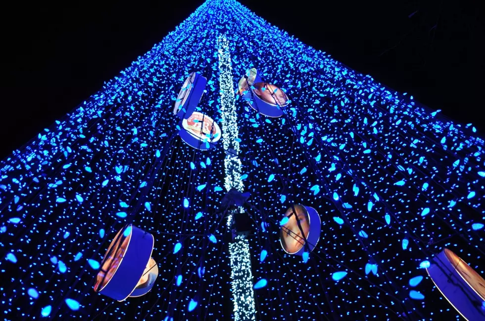 50-Foot Blue Christmas Tree Hightlights NightLights [PICTURES]