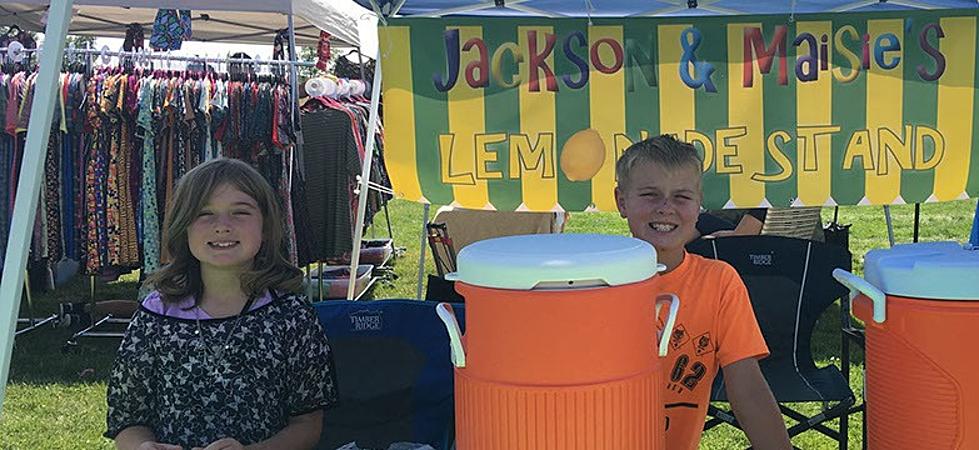 Kids Lemonade Stand Helps Honor Flight Northern Colorado