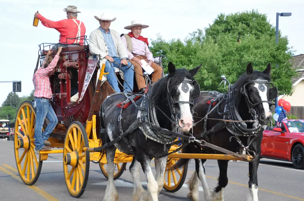 Greeley Stampede 2018 4th of July Parade [PICTURES]