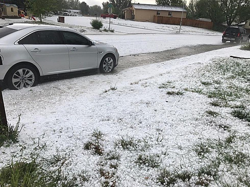 Enough With All the Hail – How Much Damage Do You Have? [POLL]