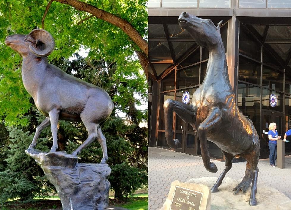 CSU Rams Statue Has Oysters – Boise State Bronco Does Not [PICTURES]