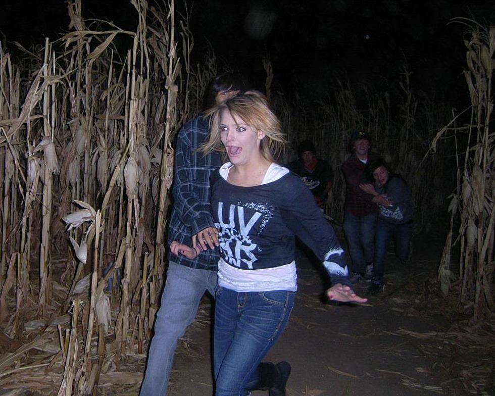 Scream Acres Haunted Corn Maze Open til Halloween Night