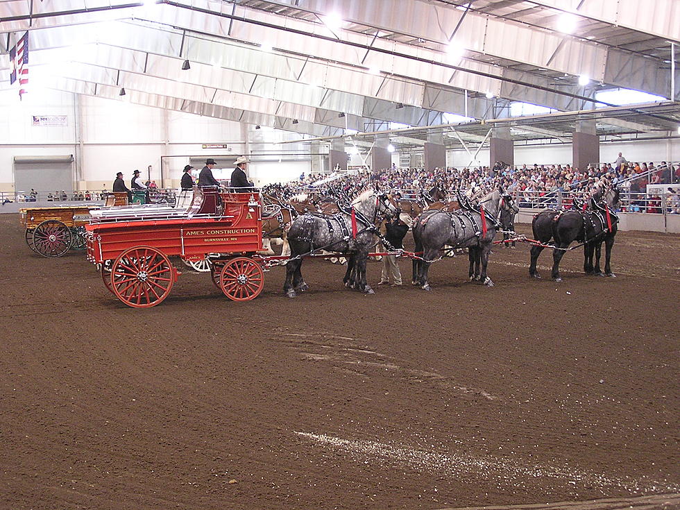 Big Thunder Draft Horse Show Returns to Ranch in 2019