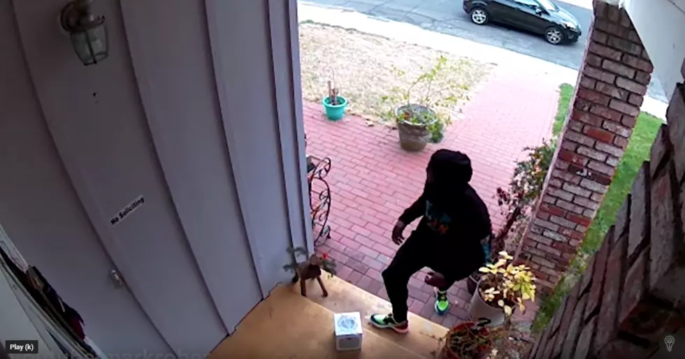 This Guy Creates the Ultimate Revenge for Porch Pirates