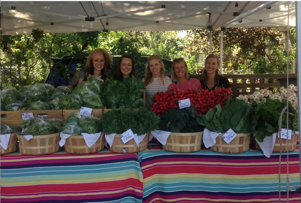 Thinking Globally, Acting  Locally on a Local Organic Farm