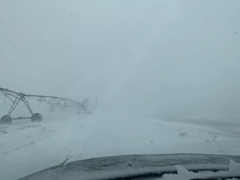 Is Another Bomb Cyclone Going to Hit Colorado This Week?