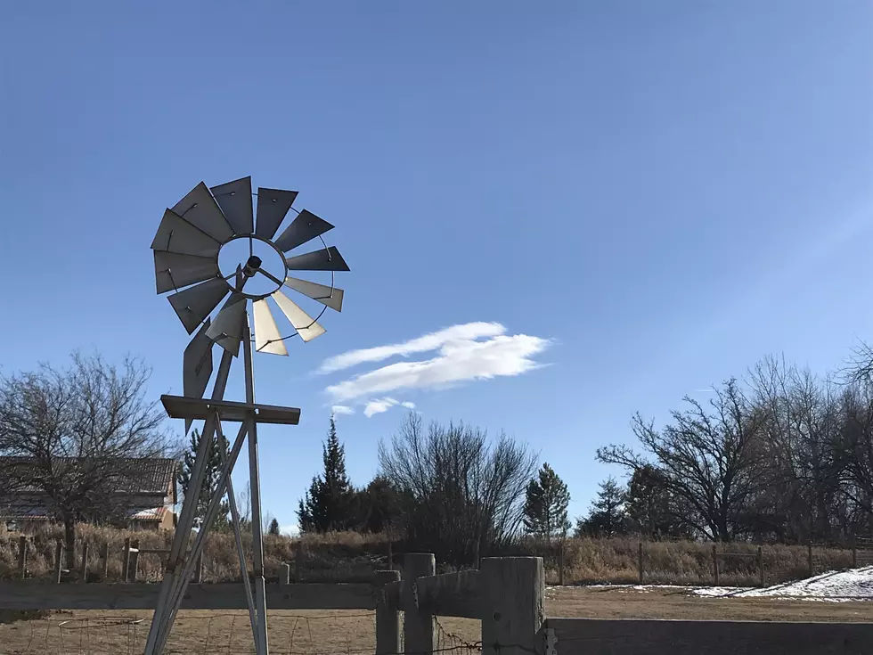 Fort Collins Forecast: Weekend Wind Gusts Above 30 MPH Expected