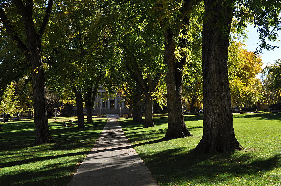 CSU Joins a Global Team to Study Ecosystems and Climate Change