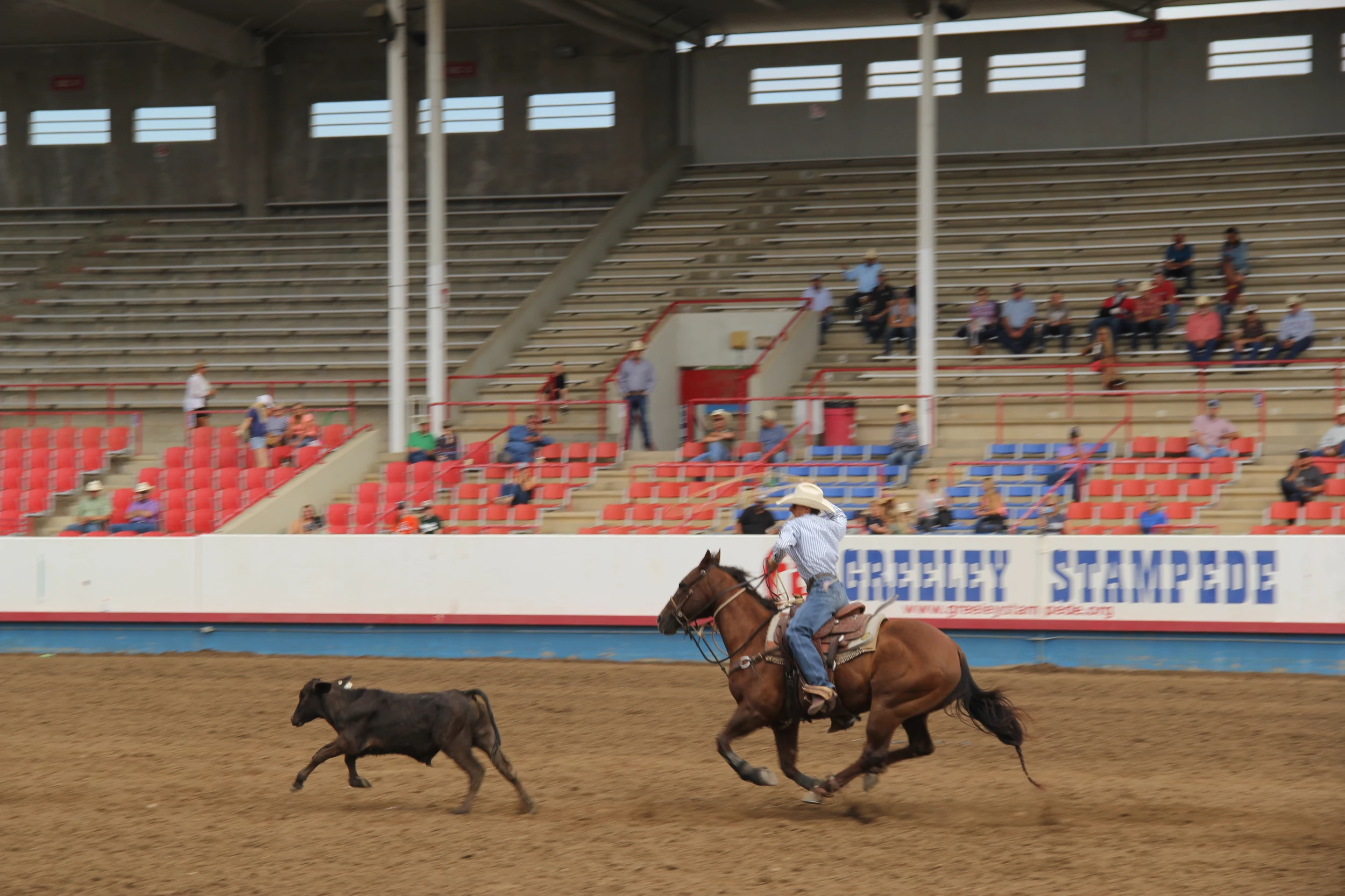 Greeley Stampede