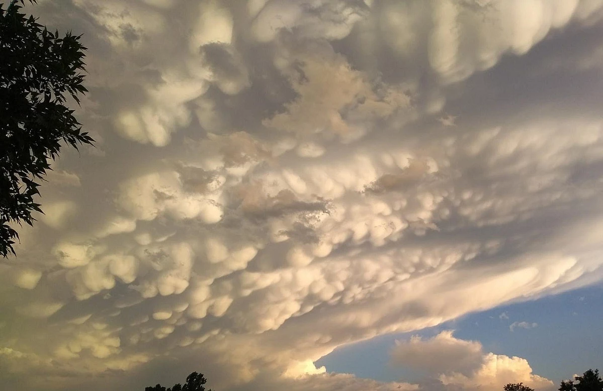 What Are Those Bumpy Body Part Clouds Seen Around Colorado?