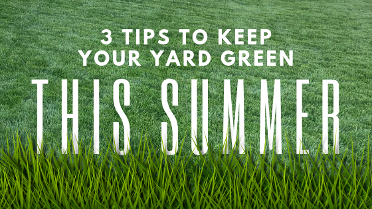 Keep Your Lawn Green In the Summer Heat