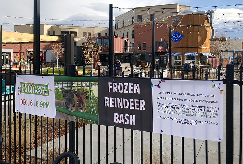 Frozen Reindeer Bash is December 6 in Fort Collins
