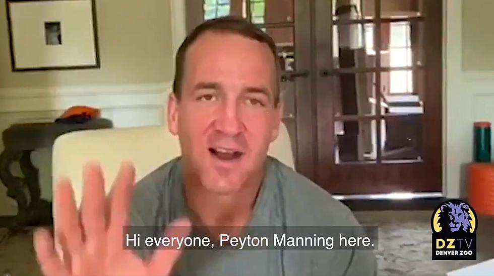 [VIDEO] Peyton Manning Picks Names for Denver Zoo Lion Cubs