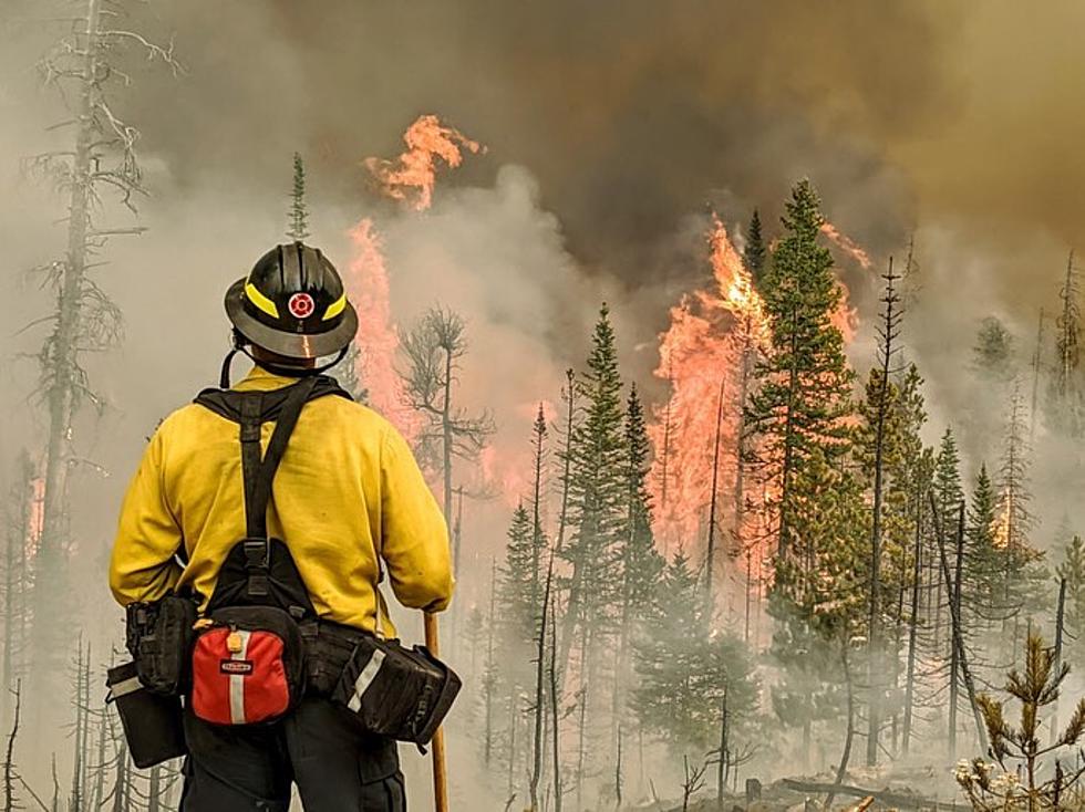 Evacuations Underway as Wildfire Breaks Out in Estes Park