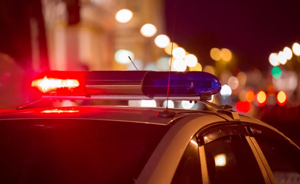 Fort Collins Man Arrested for Brandishing Knife, Stabbing K9 While Resisting Arrest
