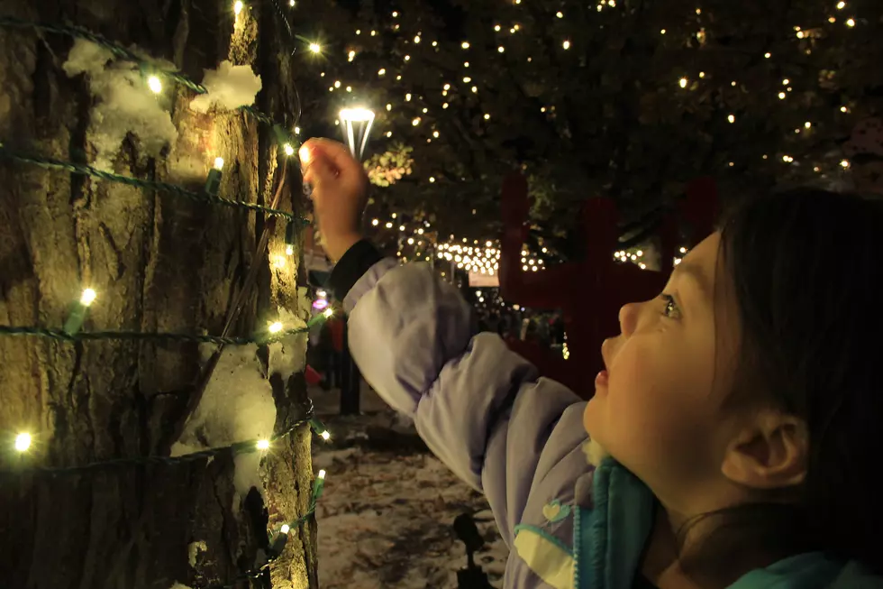6 Spots To See Holiday Lights in 2020 Near Fort Collins