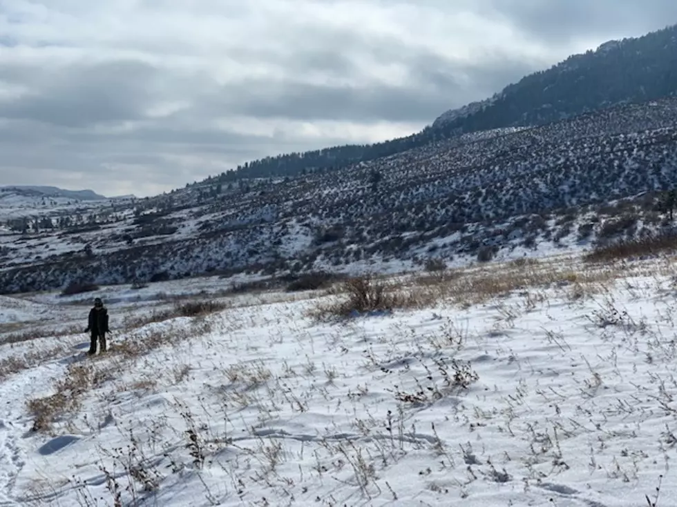 AJ&#8217;s Outdoor Adventures: Snowshoeing Lory State Park
