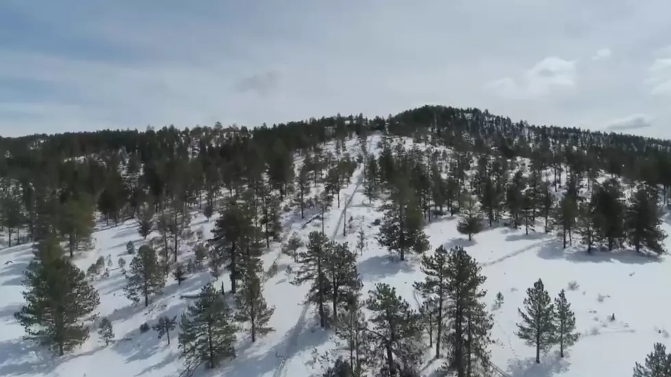 Take a Virtual Ride on Estes Park's New Mountain Coaster