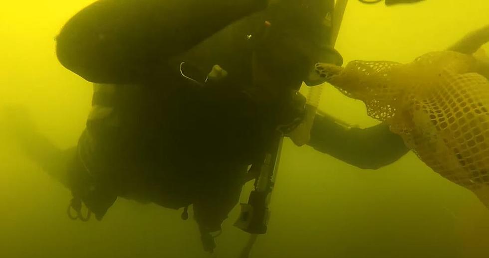 You'll Be Amazed by What You Discover Beneath Colorado Lakes