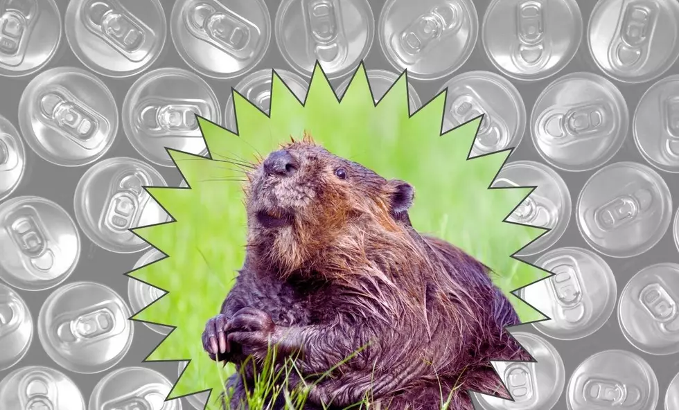 A Loveland Brewery Used to Have an Eight Foot Beer Can Beaver