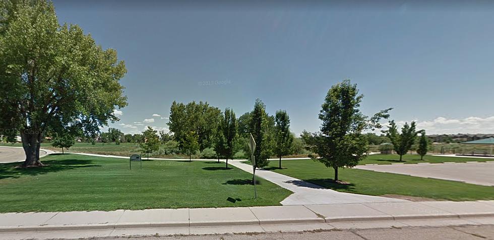 Man Arrested For Strangling Woman In Greeley Park