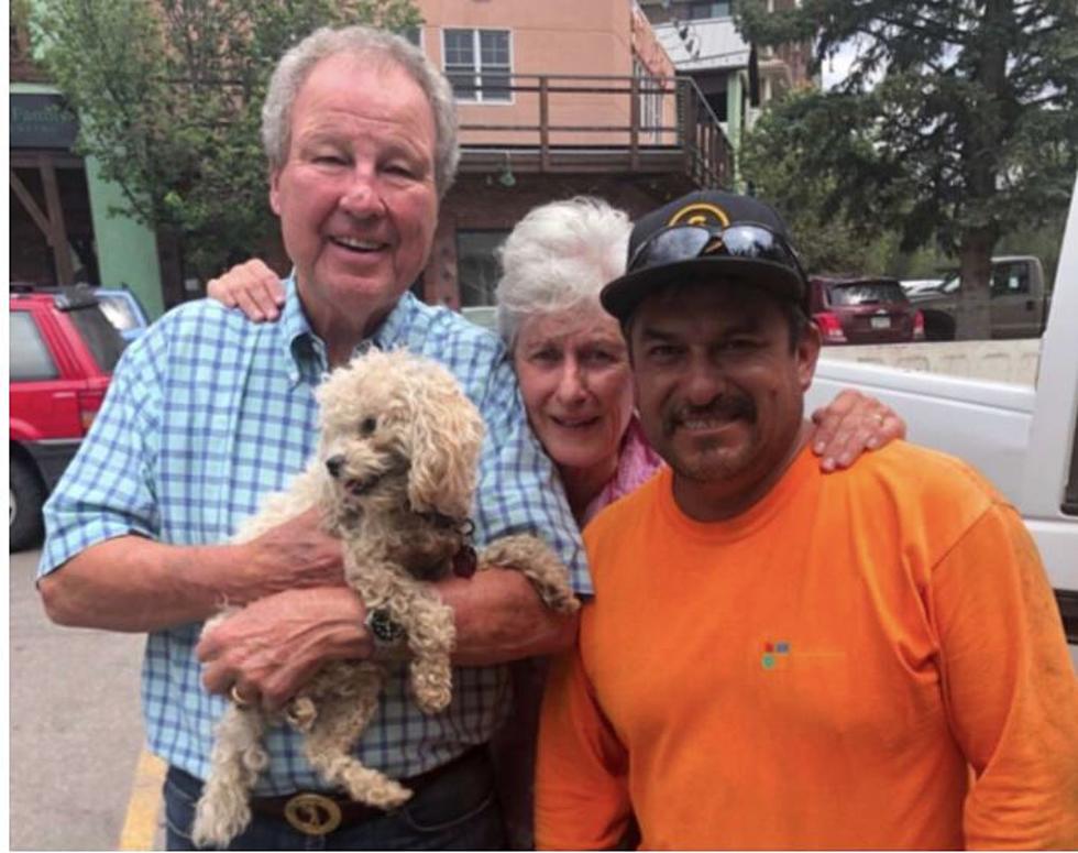 Miracle Dog Survives A Month Alone In Colorado Wilderness