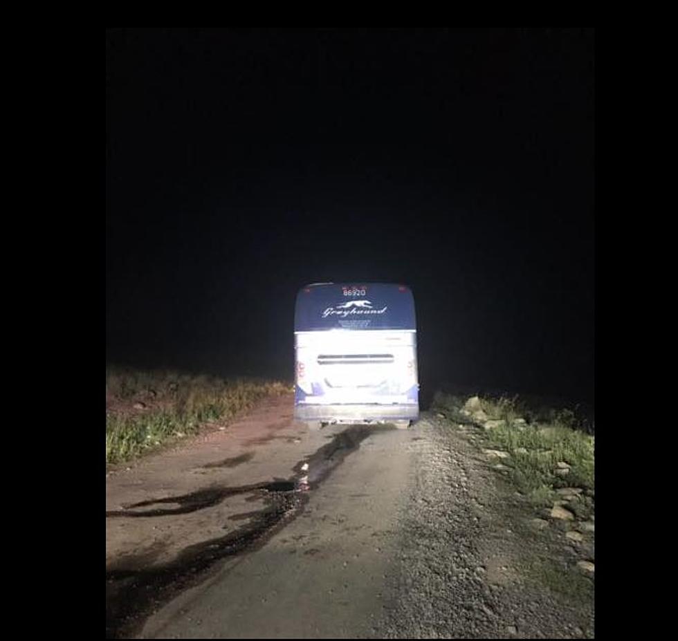 21 Passengers Rescued From a Bus Stuck On a Mountain Backroad