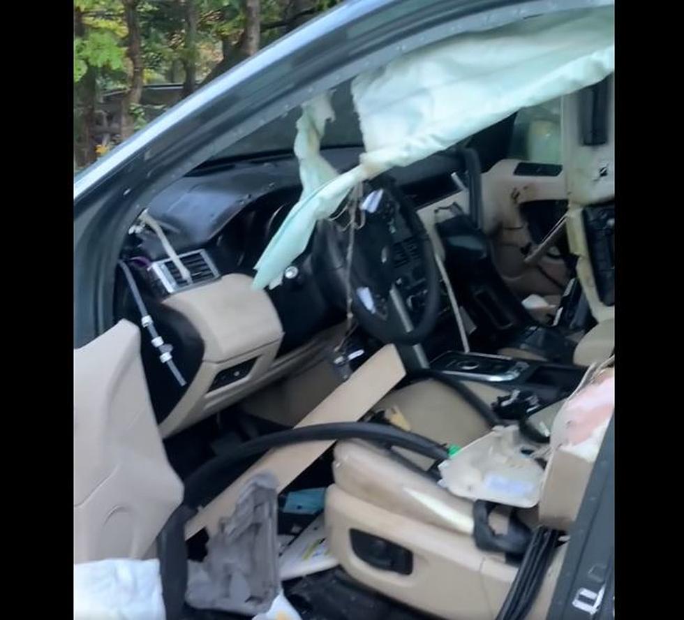 Bear Breaks Into Car in Aspen Colorado + Poops in Backseat