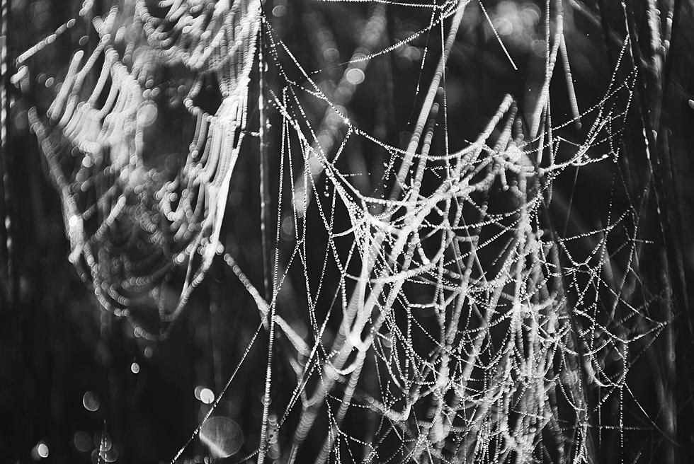 Colorado Man Sets Home On Fire Clearing Cobwebs with Torch