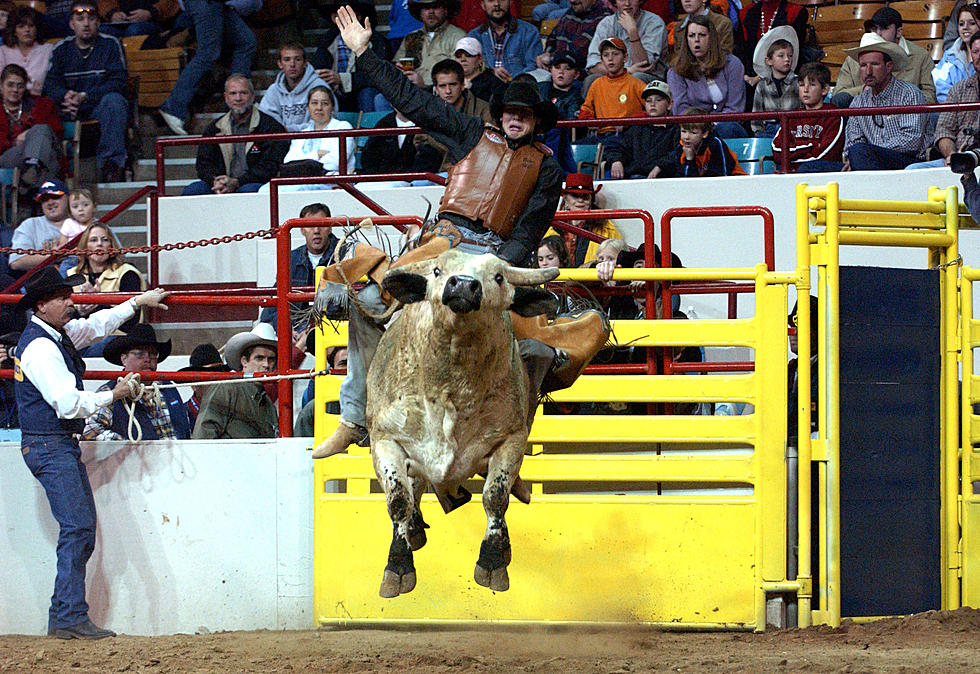 Colorado&#8217;s Historic National Western Stock Show Returns in 2022