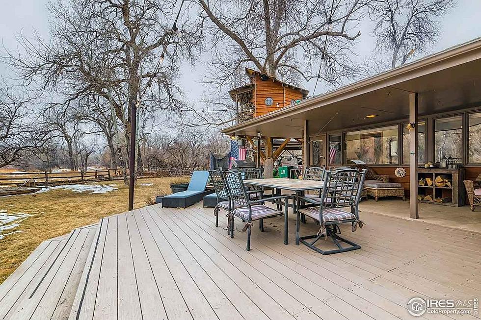 $1.6 Million House in Colorado on the Poudre River has a Treehouse Retreat