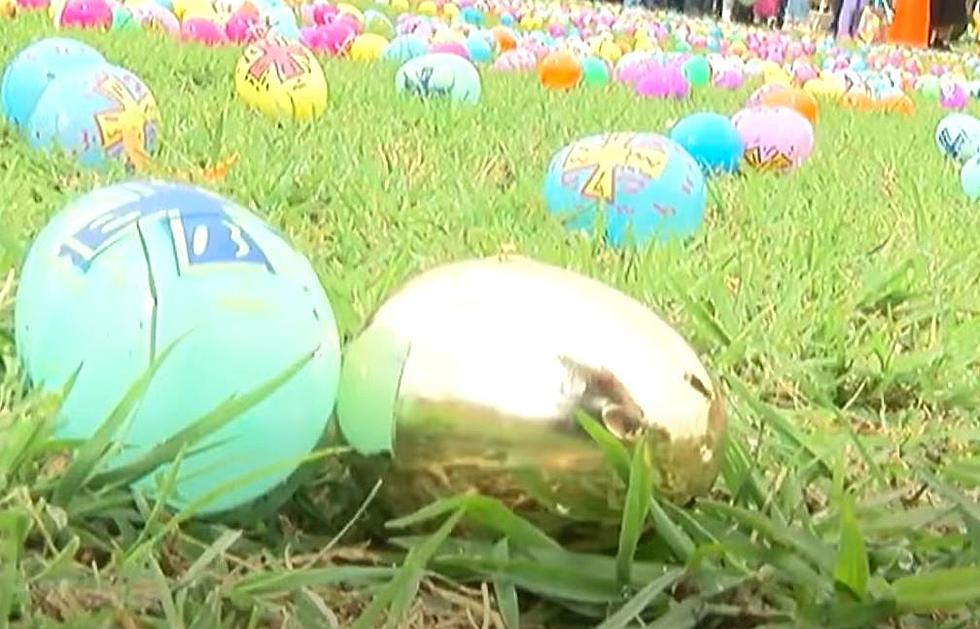 An Open Letter To The Rude Parents At Easter Egg Hunts