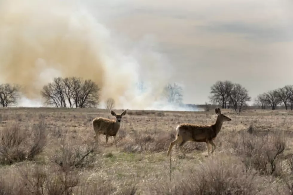 Don&#8217;t Worry, Casper &#8211; Smoke You Might Be Seeing is From a Controlled Burn