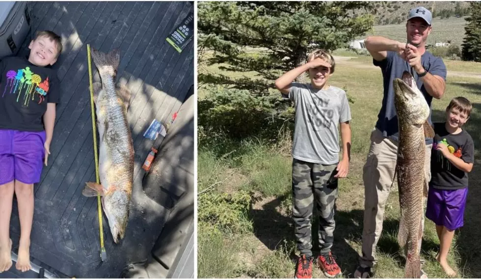 Colorado Kid Lands Fish Almost As Big As Him From A Lake