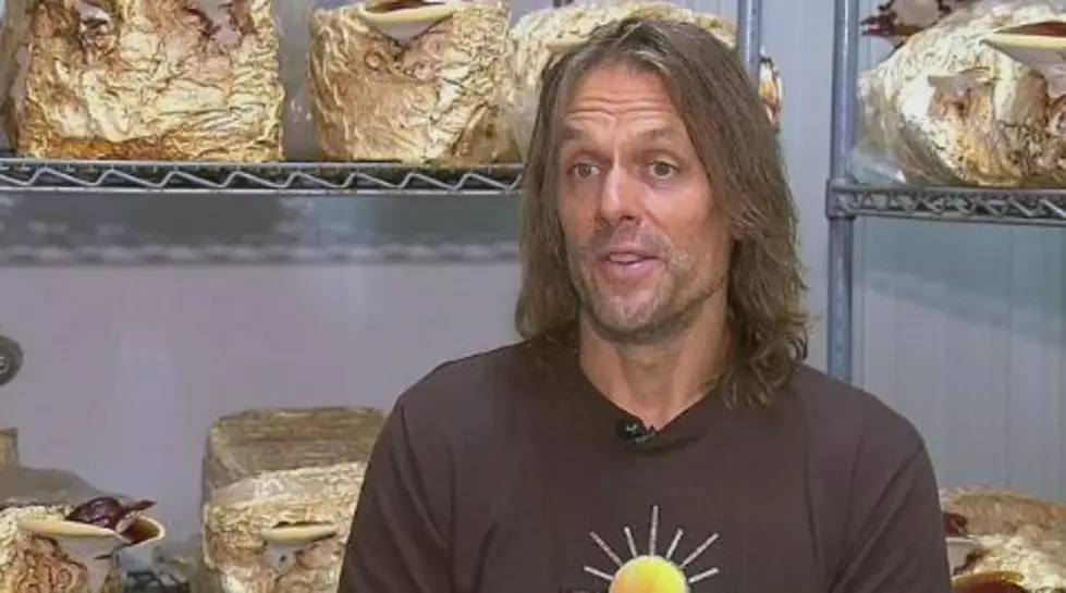 Former Broncos QB Is Now Growing Shrooms And Business Is Booming