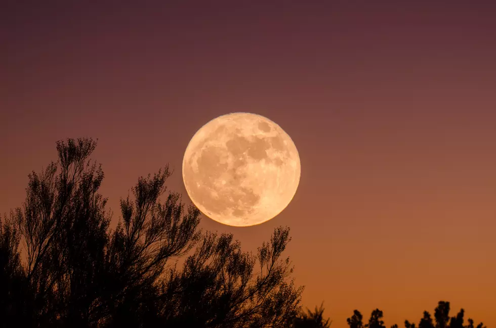 Full Buck Moon To Be Brightest Supermoon Of The Year For Colorado