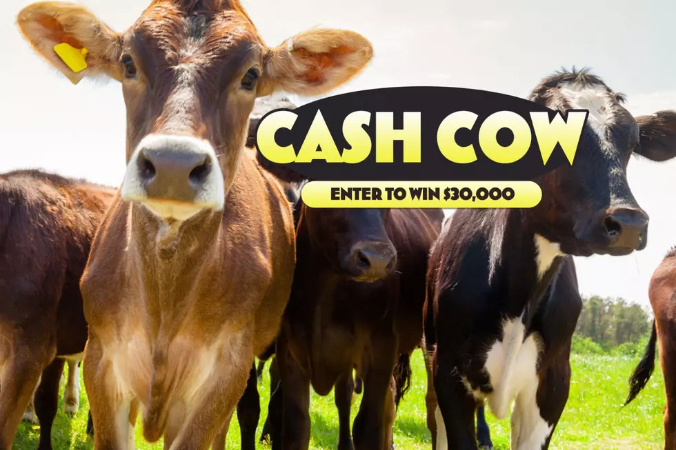 Here’s How You Can Win Up to $30,000 This Fall With the Cash Cow