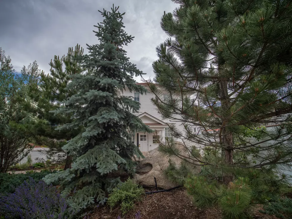 The Stanley Hotel